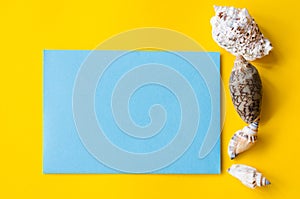 Empty blue sheet of paper on yellow background with shells. Summer background.