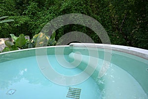 empty blue swimming pool in the garden with big tree