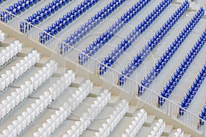 Empty blue and white seats in the stadium before the match