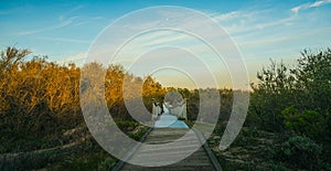 Empty boardwalk leading to distant through tree woods. Forest trekking hike trail at sunset. Oceano, California