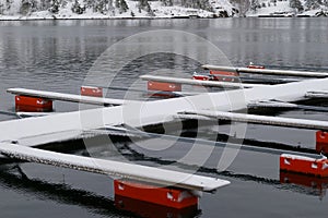 Empty boat moorings on lake photo