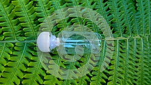 An empty bottle with a wooden stopper on the background of a green fern leaf. Glass container for cosmetic skin care