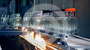 Empty bottles go near fire on a conveyor for pasteurization, close up.