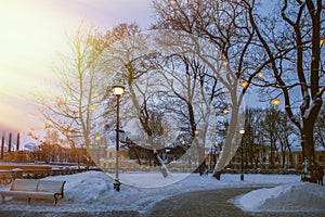 empty brench in a winter park