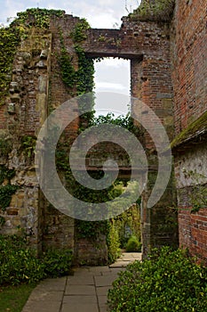 Empty Brick Window and Doorway with Ivy
