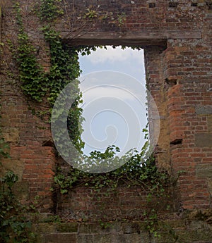 Empty Brick Window with Ivy