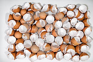 Cracked egg shells.