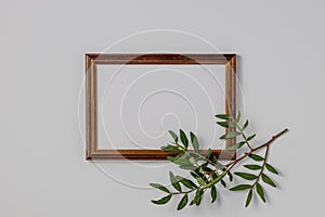Empty brown wood border, with craft paper and green branches isolated on white table background