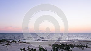 Empty calm seascape scenery with sand and palm trees on beach, panning shot