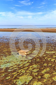 Empty canister on muddy river bank.