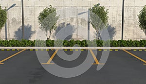 Empty car parking without cars. Parking spaces, sidewalk for pedestrians with flower bed.