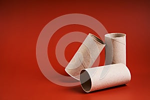 An empty cardboard toilet paper tube close up