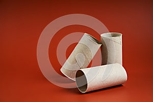 An empty cardboard toilet paper tube close up