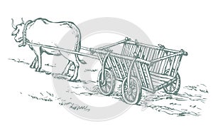 Empty cart drawn by oxen. Vector drawing