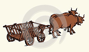 Empty cart drawn by oxen. Vector drawing