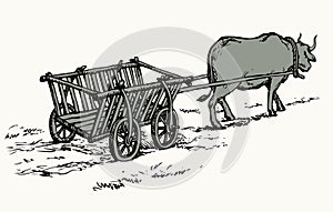 Empty cart drawn by oxen. Vector drawing