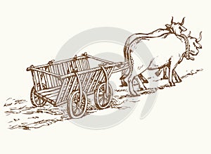 Empty cart drawn by oxen. Vector drawing