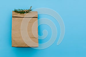 Empty carton pack with spruce branch. Brown package for gift or fast food. Paper bag for storing food on a blue