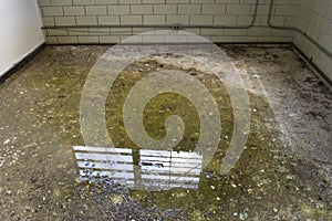 Empty cell, bars on windows