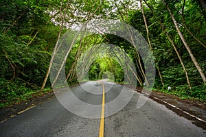Empty centered road with yellow lines leading symmetrical through valley in Thai jungle