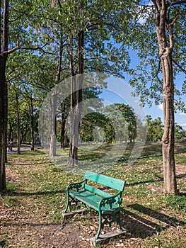 Empty chair in park