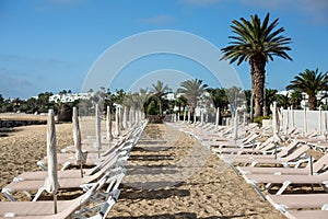 Empty chaise-lounges on the beach in the city of Costa Teguise