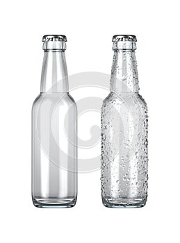 Empty Clear Beer Bottle photo