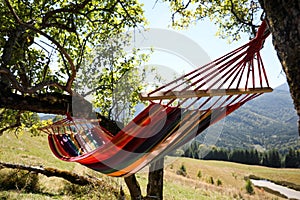 Empty comfortable hammock in mountains on sunny day