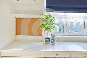 Empty cork board in the interior, above the desk, education, business concept