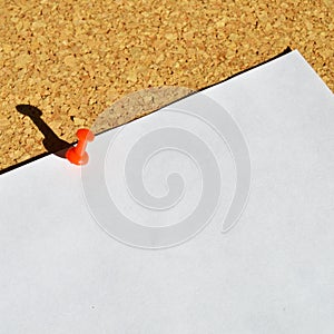 Empty cork board texture background, you can add your note on the blank paper on the cork board