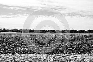 Empty corn field after fall harvest with residue over soil. Urban sprawl visible in the distance with residential