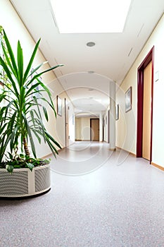 Empty corridor in a nursing home or hospital