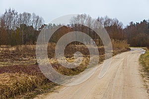 Empty country, field road in winter. Latvian