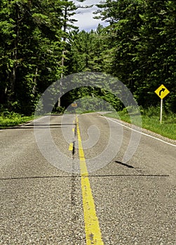 Empty Country Road