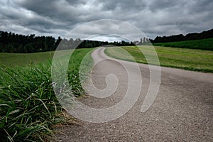 An empty country road through the green fields