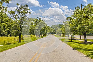 Empty country road lined with green trees