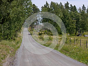 an empty country road by trees and fields