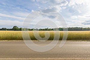 Empty country road , wheat field background and blue sky