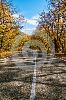 An empty country road with white markings in the middle of an autumn forest. In the background is a blue sky with clouds