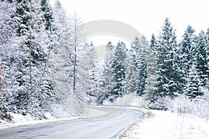 Empty country road in winter. Road Trip Concept. Winter trip