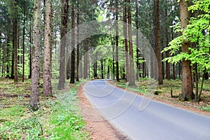 Empty country roads found in northern germany with surrounding fields and trees