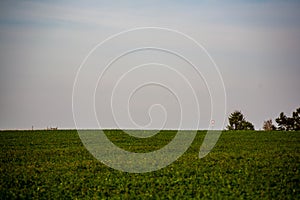 empty countryside landscape in autumn with fields and meadows and rare trees in background