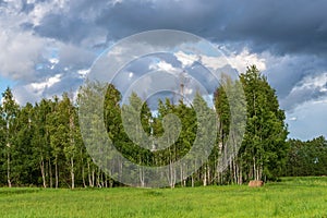 empty countryside landscape in autumn with fields and meadows and rare trees in background