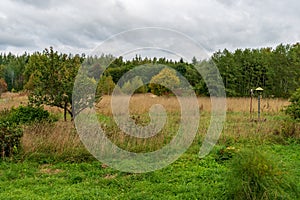 empty countryside landscape in autumn with fields and meadows and rare trees in background