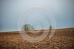 empty countryside landscape in autumn with fields and meadows and rare trees in background