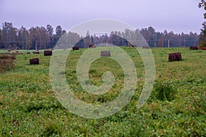 empty countryside landscape in autumn with fields and meadows and rare trees in background