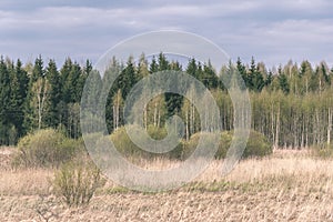 empty countryside landscape in autumn with fields and meadows and rare trees in background - vintage retro look