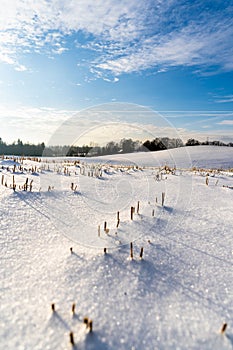 Empty Countryside Landscape in Sunny Winter Day with Snow Covering the Ground, Abstract Background with Deep Look