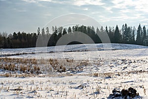 Empty Countryside Landscape in Sunny Winter Day with Snow Covering the Ground, Abstract Background with Deep Look