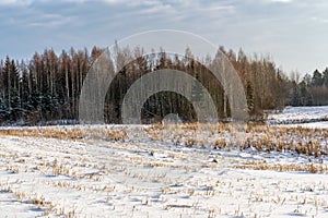 Empty Countryside Landscape in Sunny Winter Day with Snow Covering the Ground, Abstract Background with Deep Look